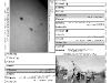 03_marzo_05