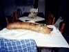 cena-con-la-porchetta-9-maggio-1998-1