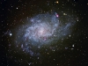 M33