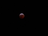 eclissi-di-luna-3-3-07-34