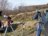 eclissi_parzialesole_04-01-2011_p1060358