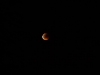 2011_06_15_eclissi_luna_p1060513