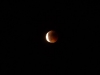 2011_06_15_eclissi_luna_p1060517