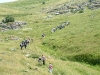 gastrofili-in-lessinia-15-06-03-10