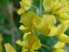gastrofili-in-lessinia-15-06-03-36