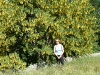 gastrofili-in-lessinia-15-06-03-5
