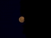 lavoce_del_silenzio_3-7-12_29