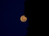lavoce_del_silenzio_3-7-12_31