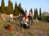melody-e-stars-tregnago-1-8-09-27