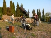 melody-e-stars-tregnago-1-8-09-28