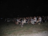 16-07-05-minerbe-1