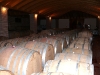 visita-alla-cantina-di-fasoli-1-12-07-12