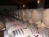 visita-alla-cantina-di-fasoli-1-12-07-16
