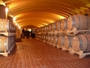 visita-alla-cantina-di-fasoli-1-12-07-21