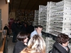 visita-alla-cantina-di-fasoli-1-12-07-8