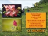 le_orchidee_7-5-2013
