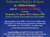 sprea_11-08-2013