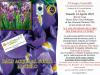 Iris_14-04-2023