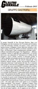 L'AltroGiornale_02-2015