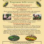 Orto_febbr-marzo-2016